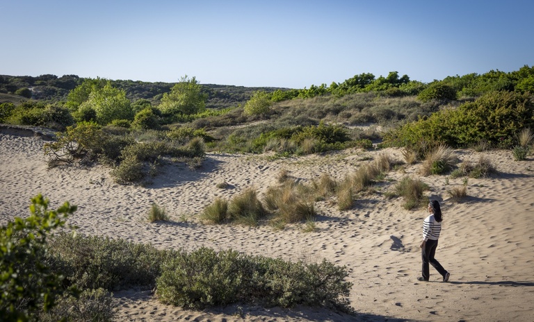 Mei '25 (48) bijgesneden.jpg